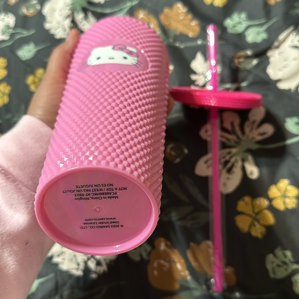 Hello Kitty Tumblr - Picture 5 of 5